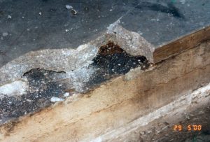 Oil degradation